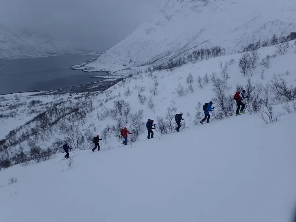 Groupe en file indienne participant au ski de randonnée dans les lofoten