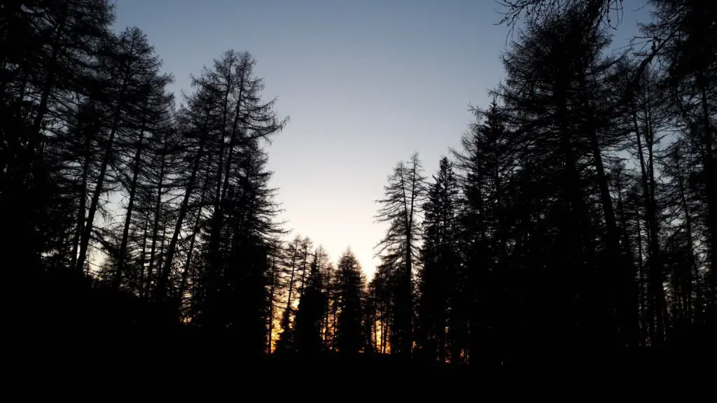 Le soleil disparait dans le bois de la Sapie