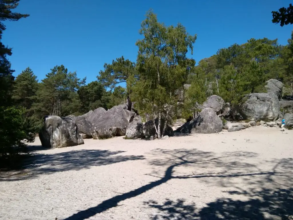 Les elephants de la forêt de Fontainebleau