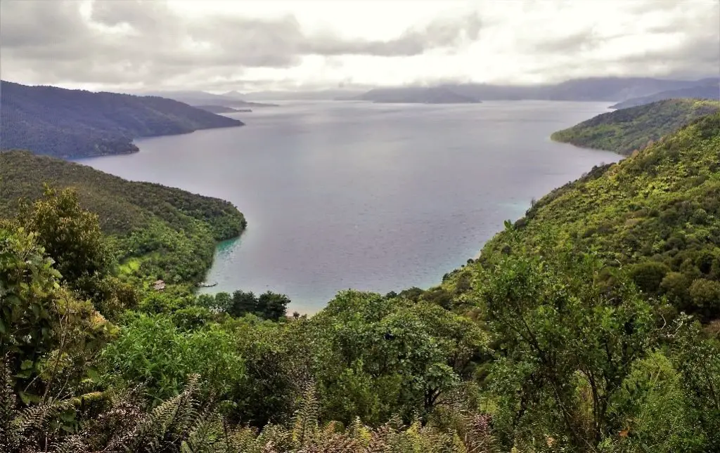 L'horizon caché par la pluie et les nuages au Queen Charlotte Track