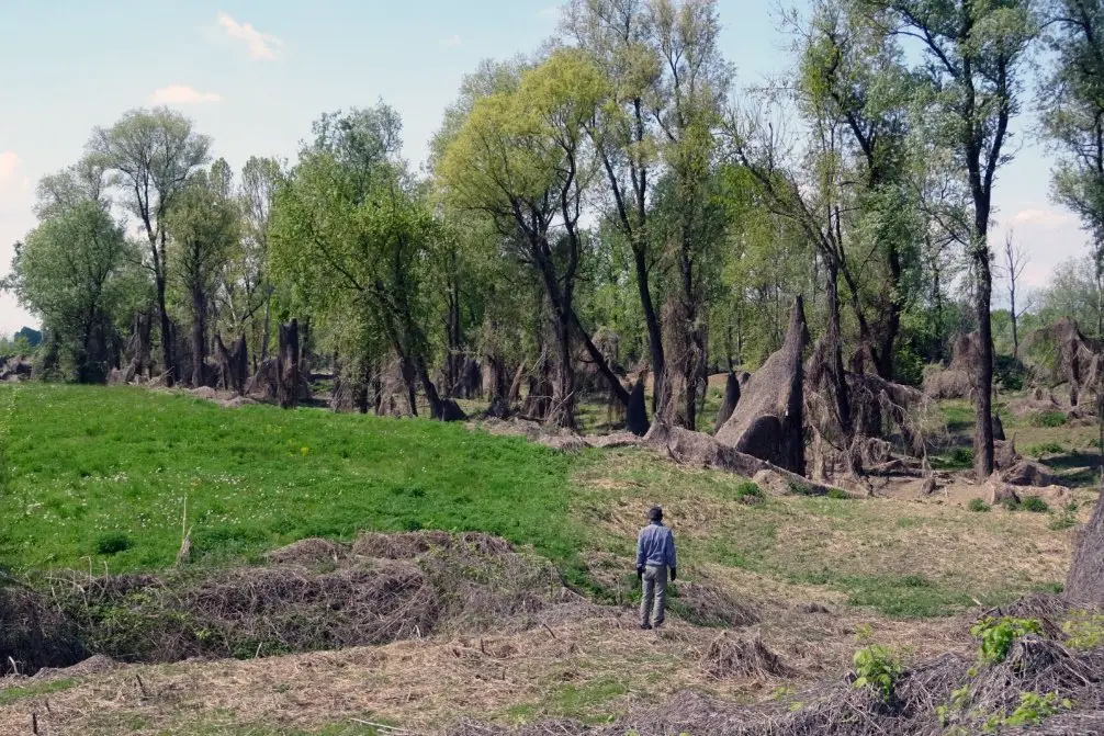 Paysage rencontré lors de notre séjour vélo dans le piémont en Italie