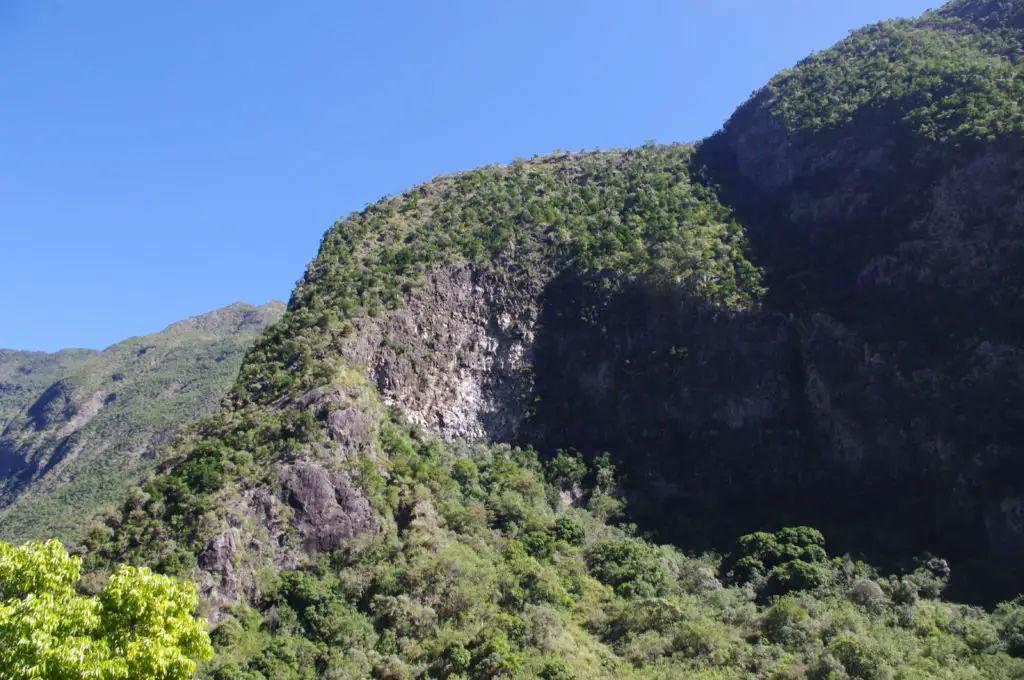 Paysage verdoyant dans les sentiers de grand bassin