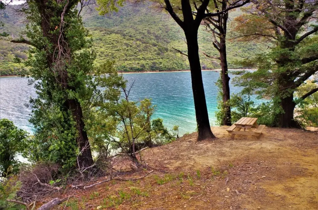 Petite aire de pique-nique paradisiaque sur le Queen Charlotte Track