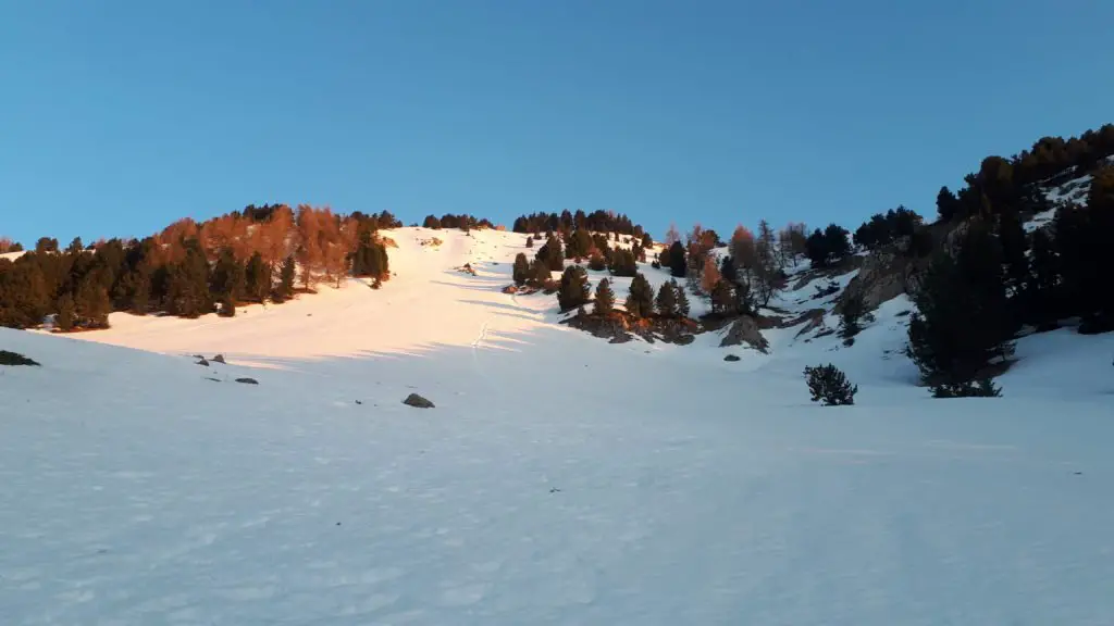 Petite trace de toboggan dans la Sapie