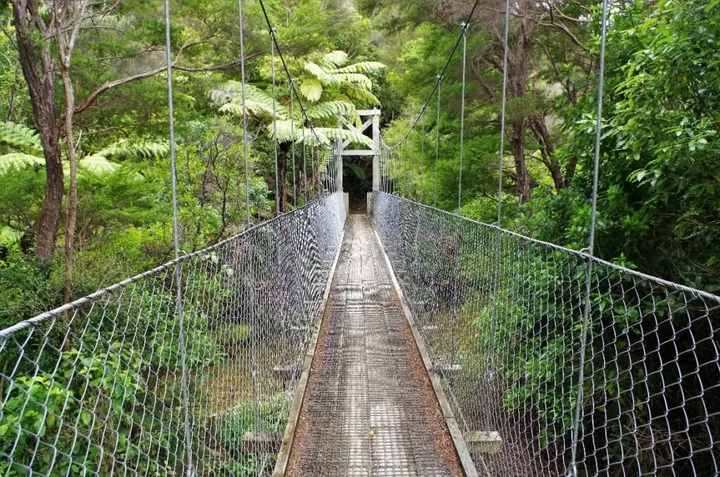 Pont en bois suspendu en Nouvelle-Zélande sur le Queen Charlotte Track