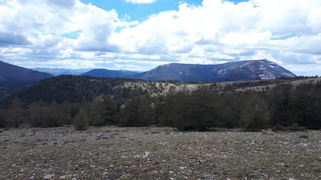 Pré de Thorame dans les Alpes en Haute-Provence