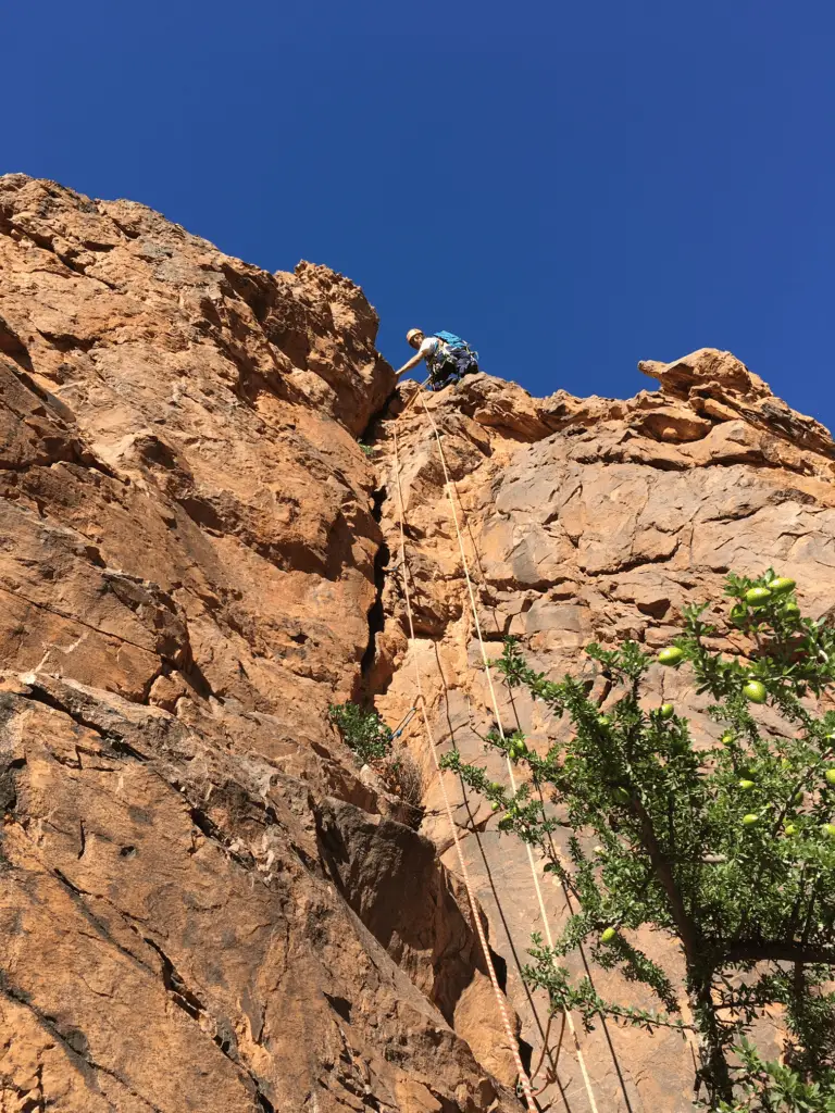 Protections à gogo, beau rocher, et arbre coloré à tafraoute au maroc