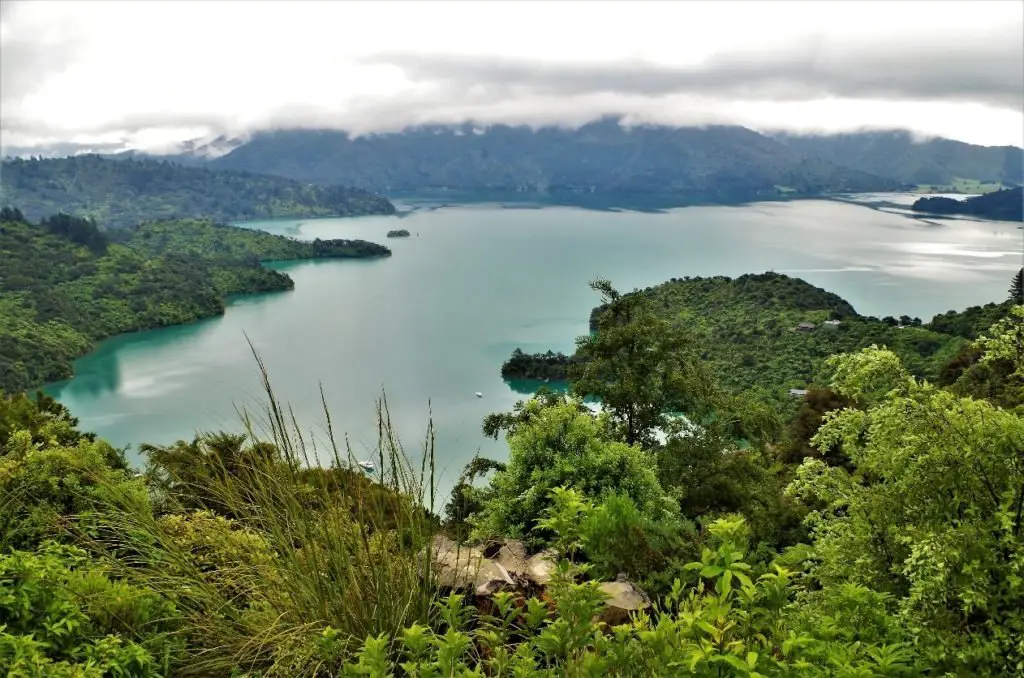 Section entre Te Mahia Saddle et Anakiwa