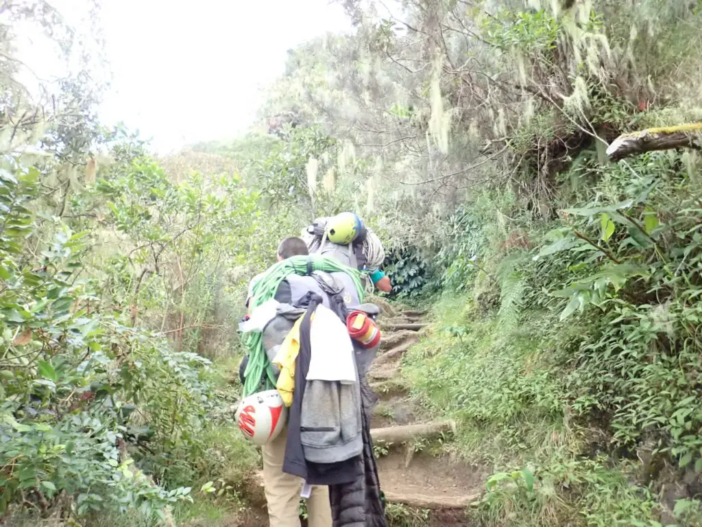 Sentier d'accès du Piton des Neiges - en route vers le sommet