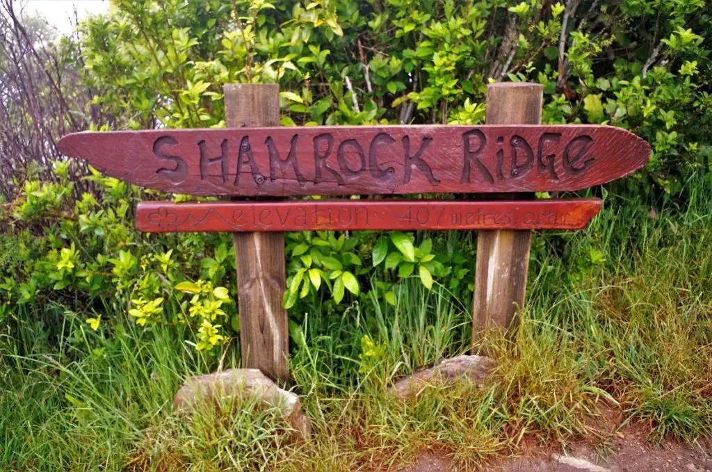 Shamrock Ridge à 407m en Nouvelle-Zélande