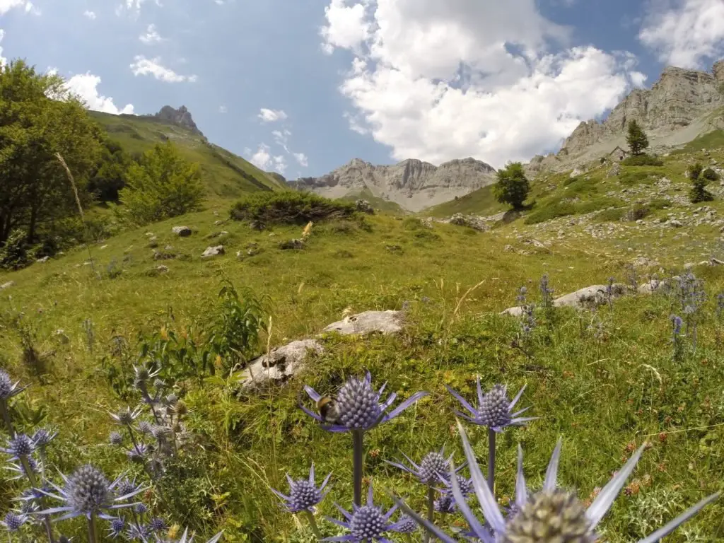 Sous le pas d'azun lors de mon séjour dans les Pyrénées