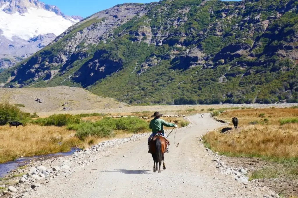 Un arieros en plein travail en Amérique du Sud