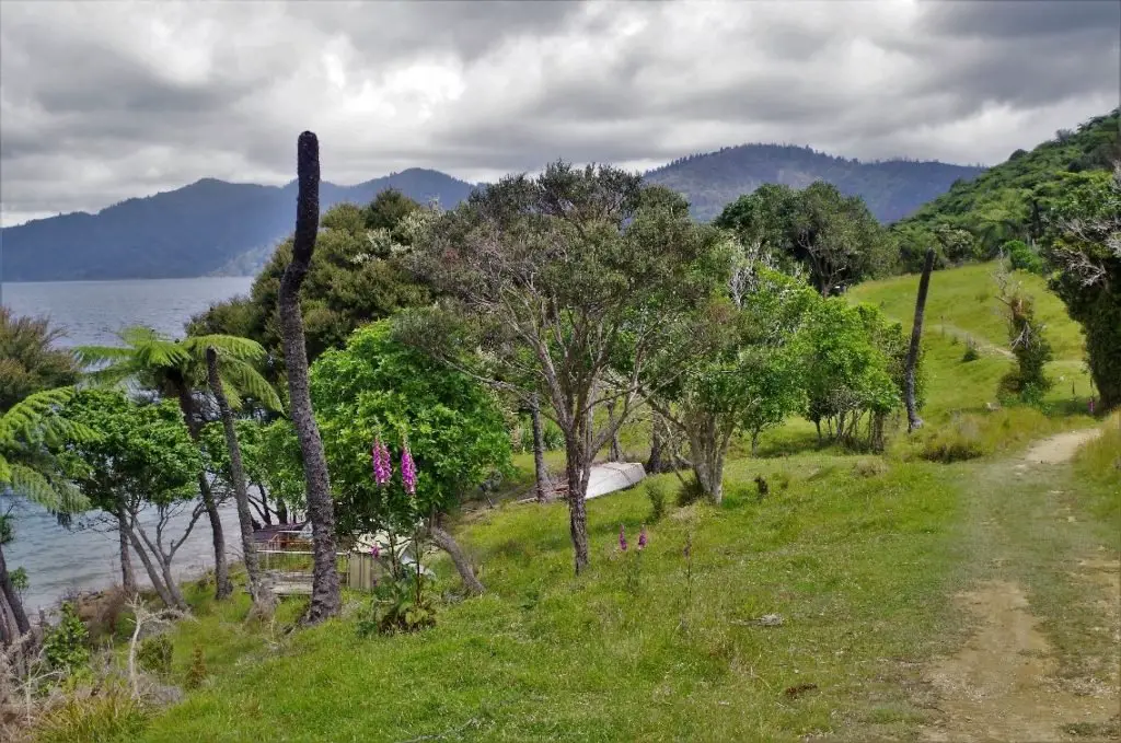 Un paysage plus champêtre en Nouvelle-Zélande