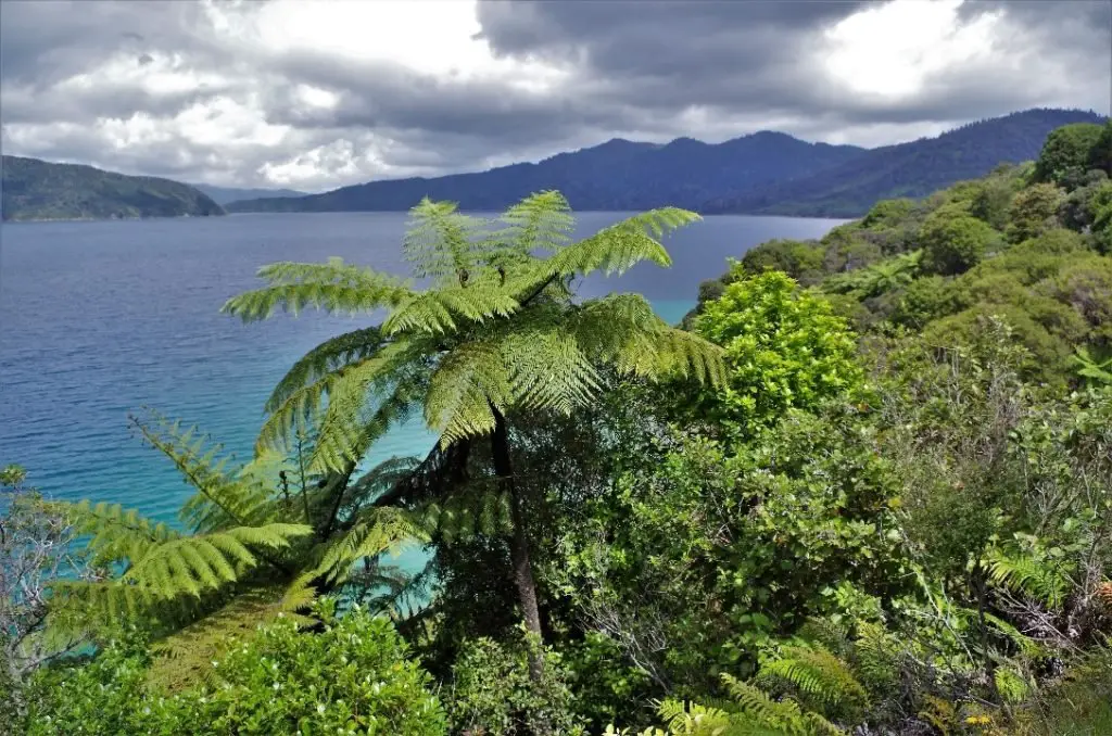 Vue sur Endeavour Inlet