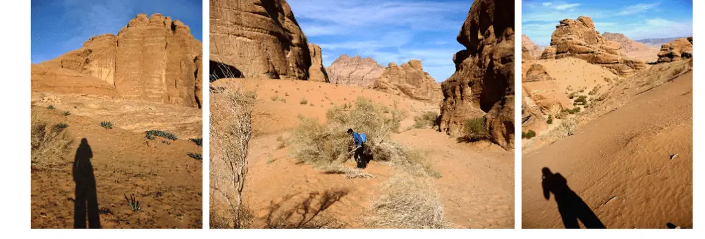 dans le désert jordanien au milieu des dunes