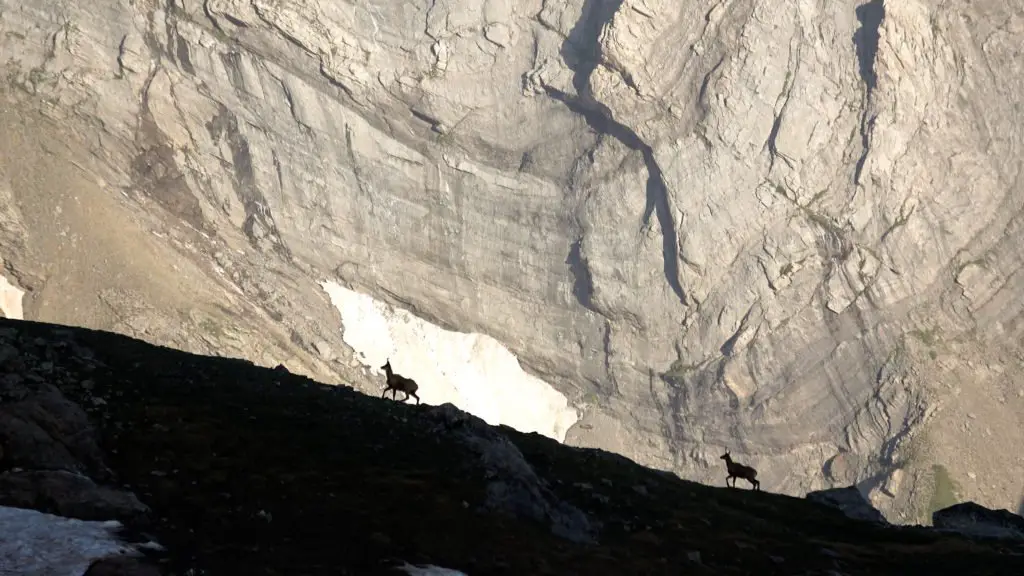 suivre son instinct pour se mettre en sécurité en montagne