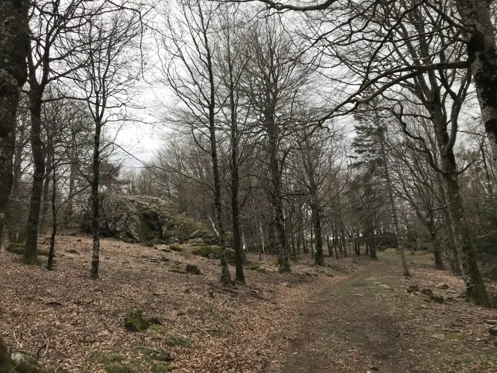 A l'approche du promontoire du Fort après avoir quitté le refuge des Bourdils dans le caroux