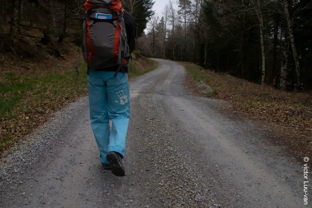 Le début de la randonnée au Montahut sur la piste forestière