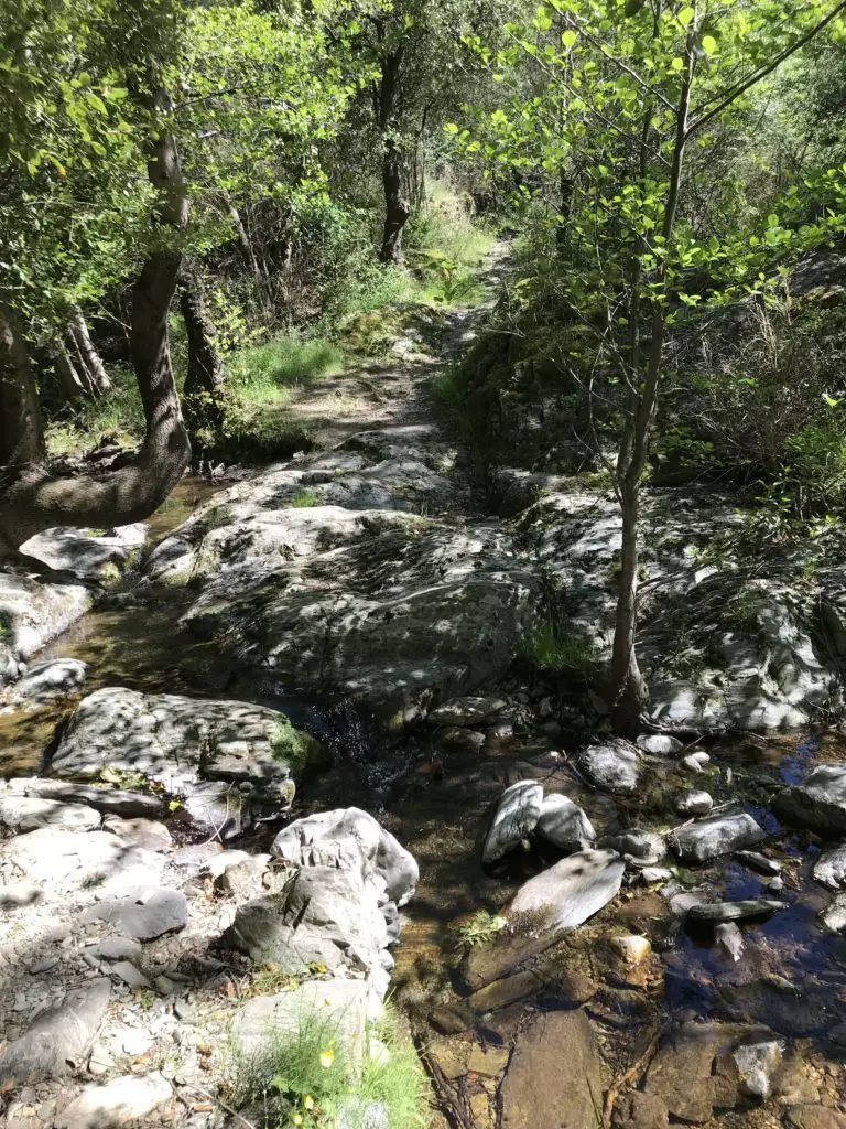 Le gué sur le ruisseau de Rotelly ou Rautely dans le massif du Caroux