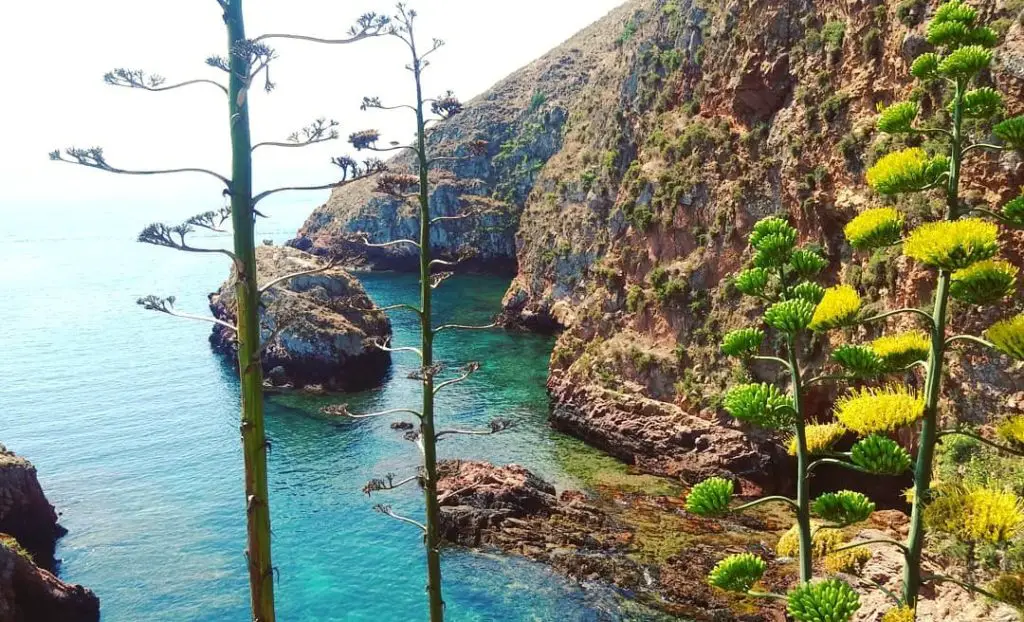 Eau translucide des Îles Berlengas au Portugal
