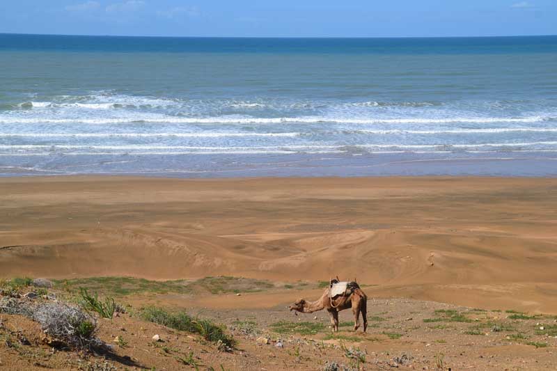Maroc parmi les plus belles destinations de voyage au mois d'Octobre