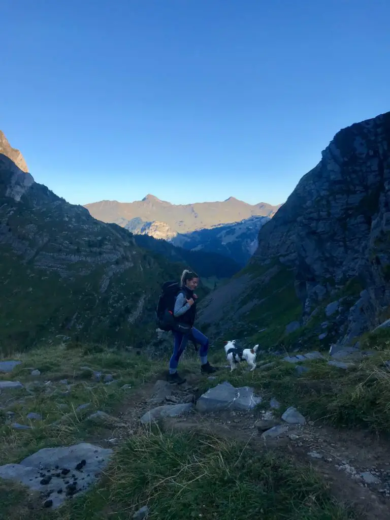 Randonner plusieurs jours avec son chien