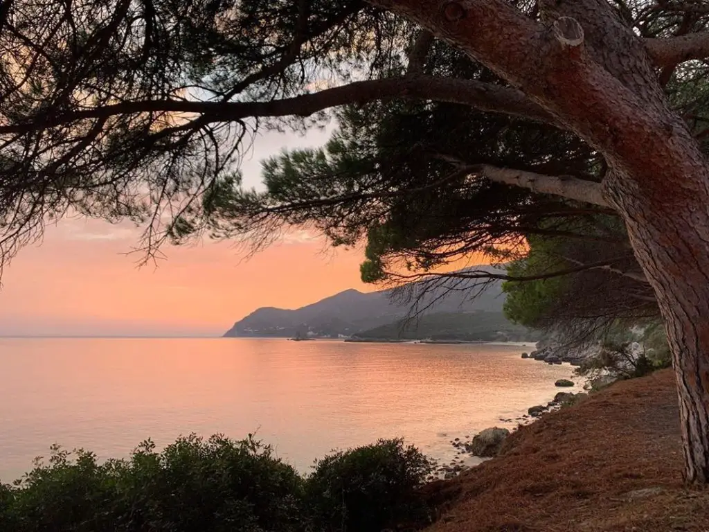 Le Vue sur la mer depuis un sentier du Parc National d’Arrabida au Portugal près de Lisbonne