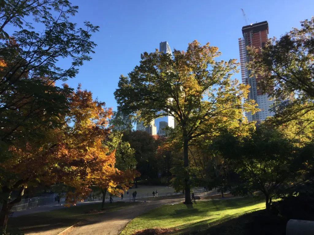 Le fameux central Park de New York