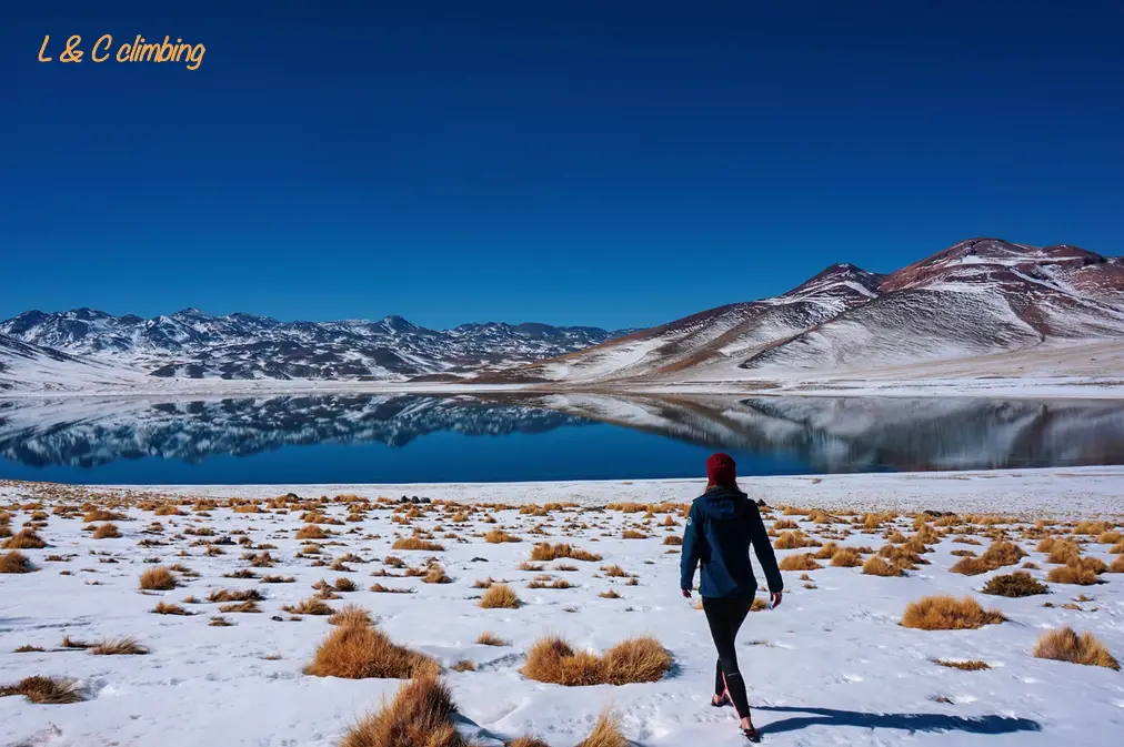 Randonnée aux lagunas Miscanti y Miniques au chili