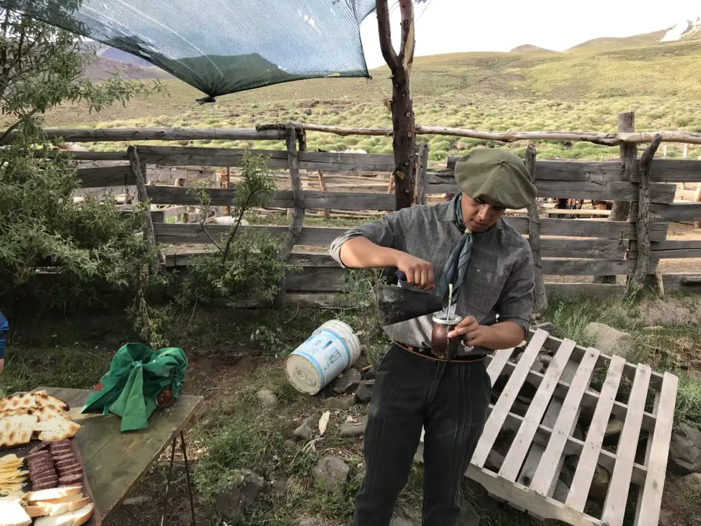 maté du matin préparé par un gaucho en argentine