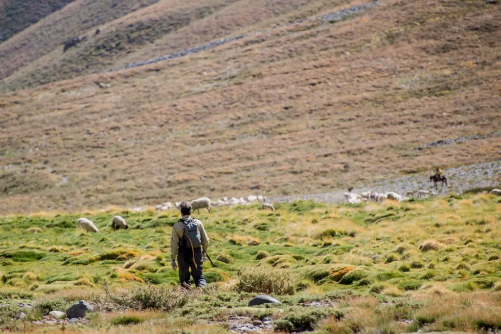 Pêche à la mouche au pays des gaucho en argentine près de valle Hermoso