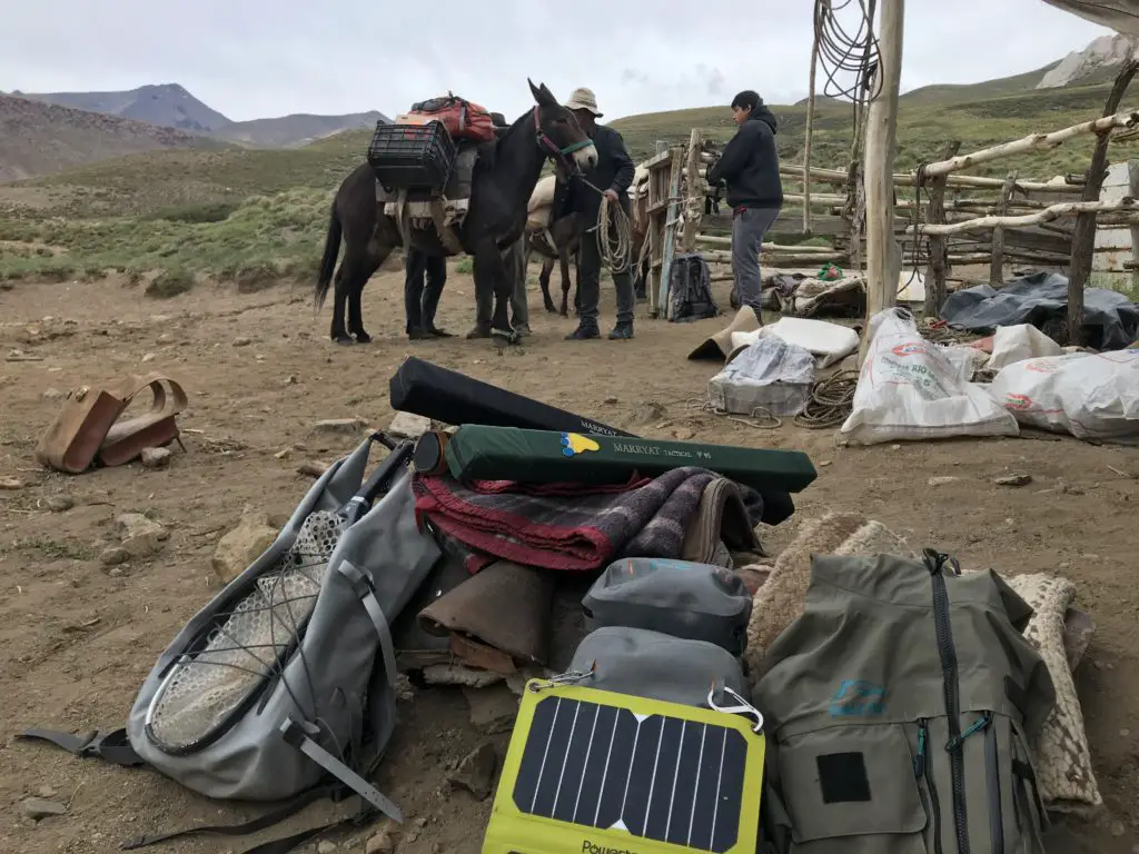 Preparation des mules et chevaux pour notre expedition peche en valle noble en argentine