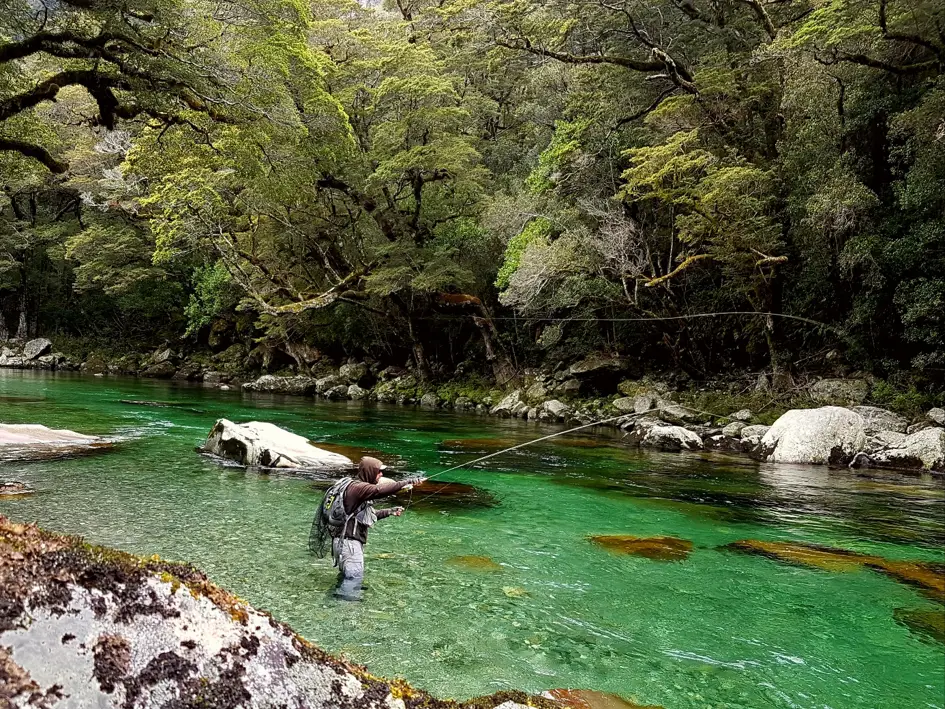 Exemple d’une magnifique rivière des fiordlands en Nouvelle-Zélande accompagné de mon ami pêcheur Thomas