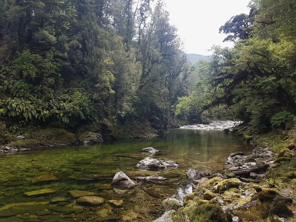 Gros pool profond abritant de belles truites en Nouvelle-Zélande