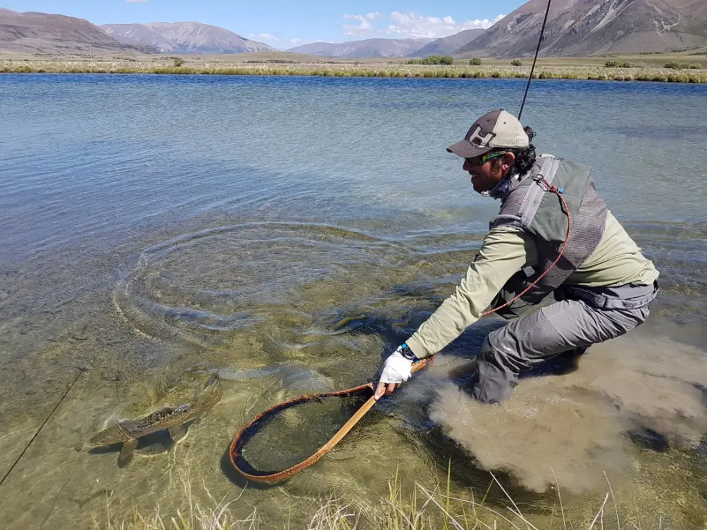 Jean-Michel BRUNET à la mise à l’épuisette d’une belle truite de lac prise en NAV en Nouvelle-Zélande