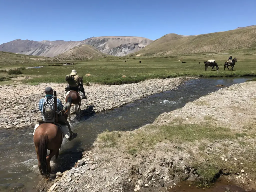 rando a cheval dans les montagnes de la valle noble en argentine durant 3 jours de trip peche a la mouche