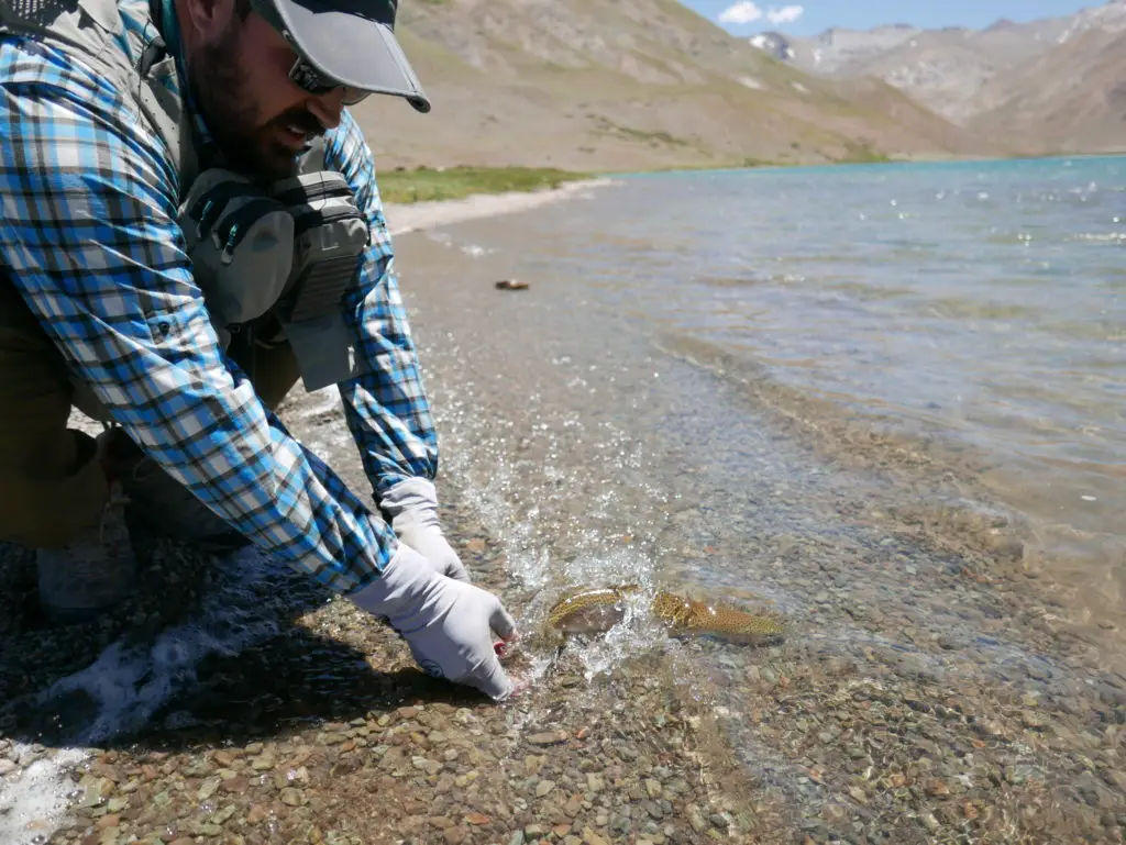 Remise à l'eau pour Baptiste CONQUET d'une superbe truite de la lagunas de las cargas en valle noble en argentine