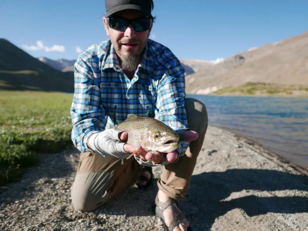 Truite de la Laguna de Las Cargas en valle noble en Argentine