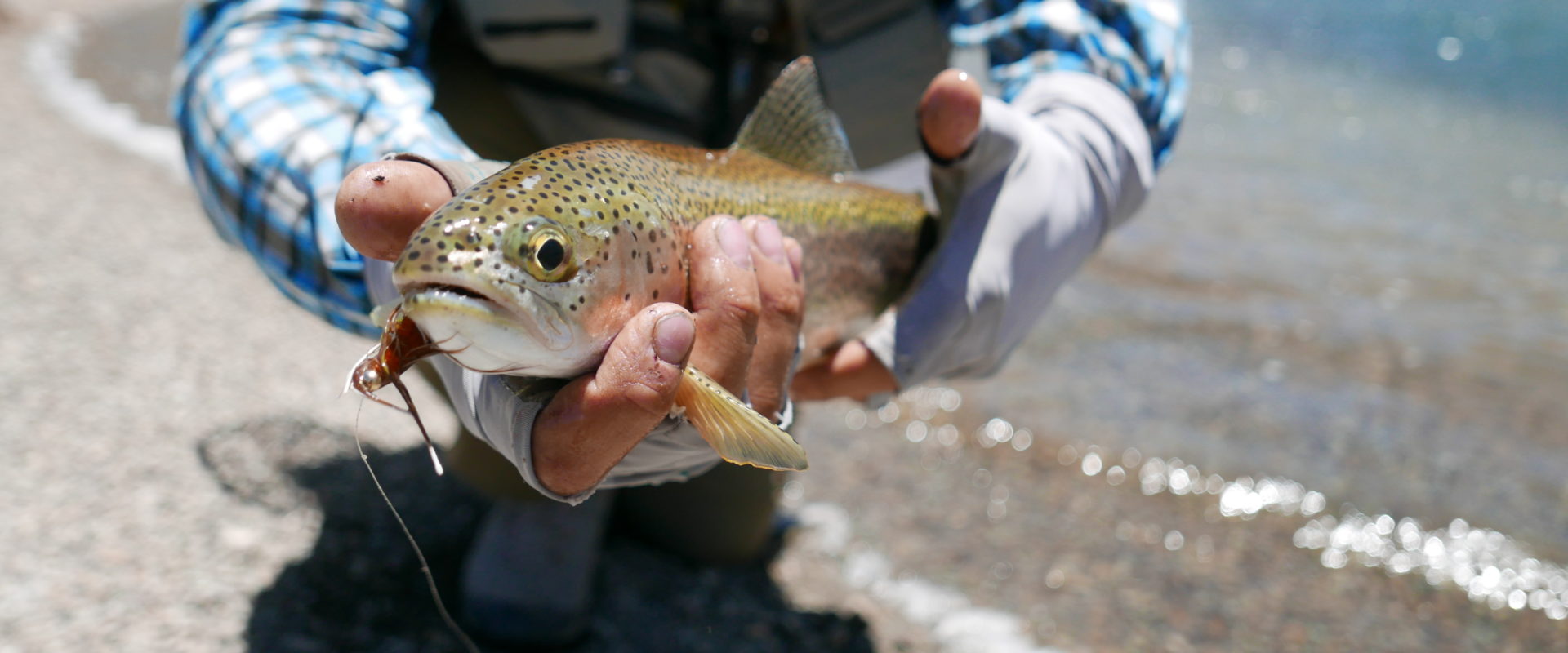 Voyage pêche à la mouche en Patagonie du Nord en Argentine