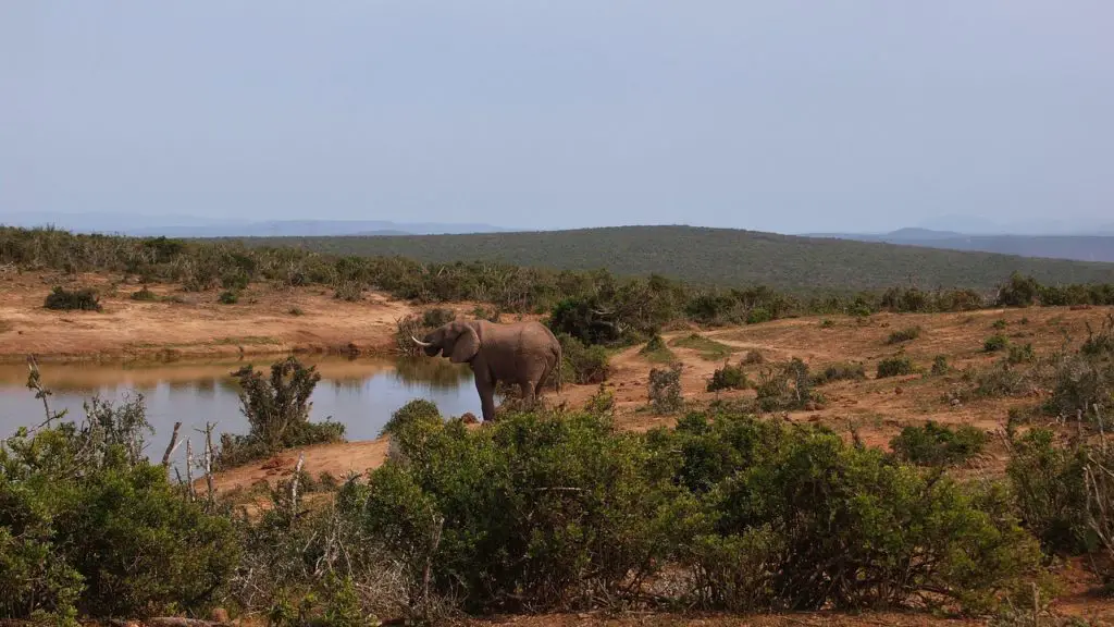 Afrique du sud parmi les plus belles destinations dépaysantes de mars