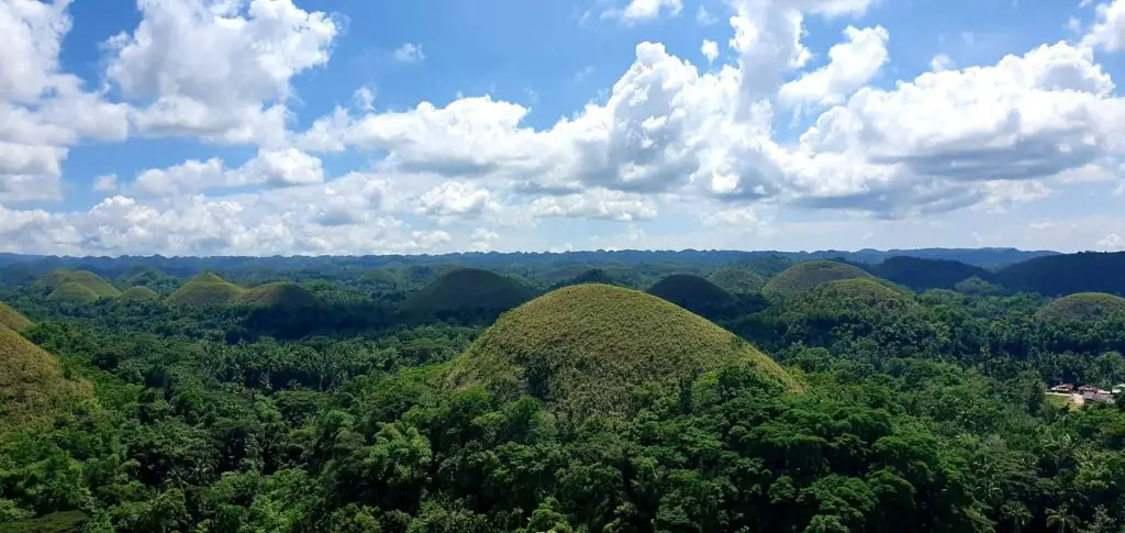 Chocolate Hills et ses 1268 collines de l'île de Bohol aux Philippines