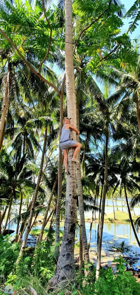 Escalade d'arbre aux Philippines