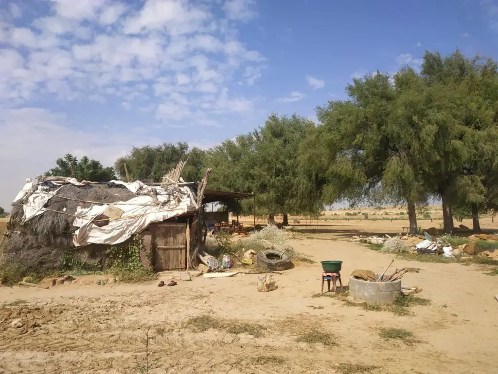 Hébergement dans une hutte dans le désert du Thar en Inde du nord