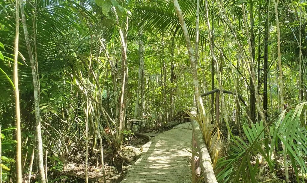 Le cadre de ce petit parc près de Panglao aux Philippines est vraiment très joli