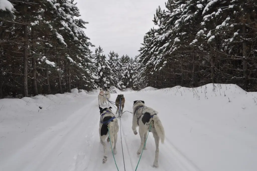 Le Canada une merveilleuse destination en Mars pour découvrir la neige