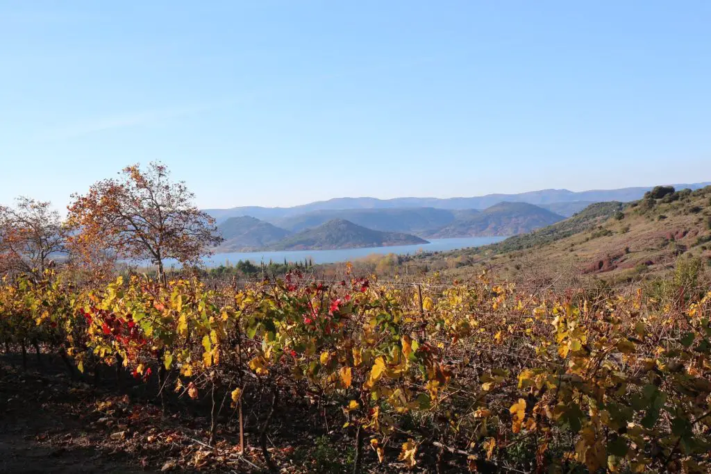 Randonnée au lac du Salagou