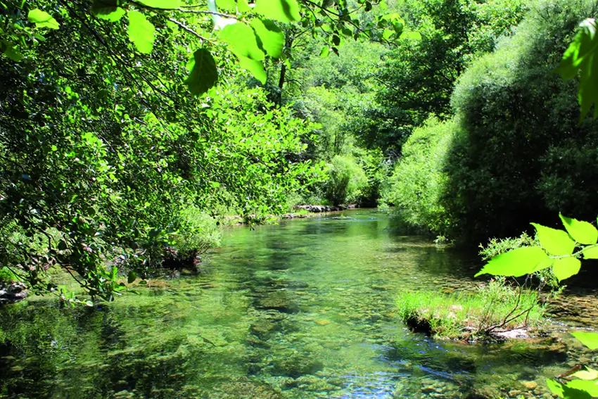 Rivière la Vis paradis pour la pêche à la mouche