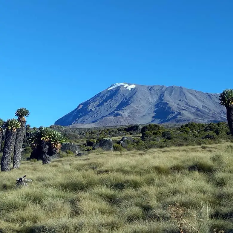 Ascension du kilimandjaro avec Serengeti one Safaris