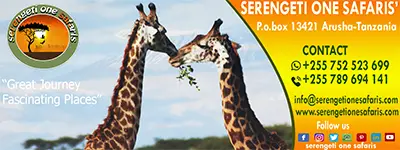 contacter l'agence de voyage Serengeti one safaris