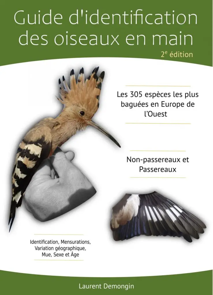 Guide d'identification des oiseaux en main livre complet pour l'observation